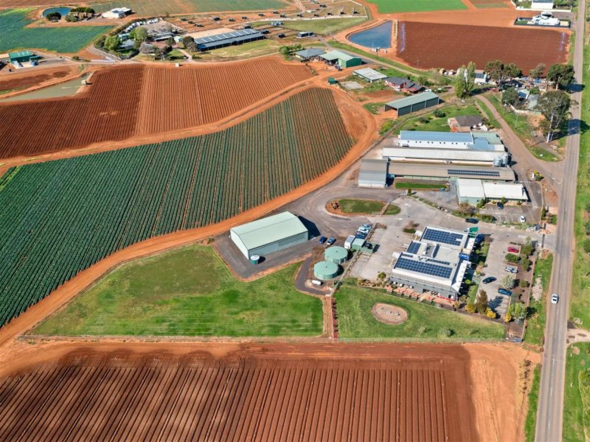 Profitable Egg Production & 669718 1