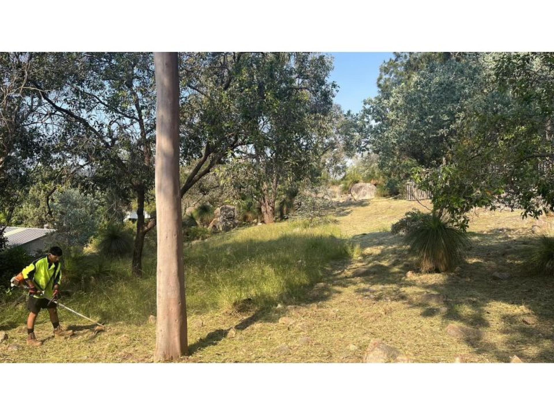 Coming Soon - Established 683581 3