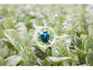 Chemical Free Pest Control Manufacturer & Retailer