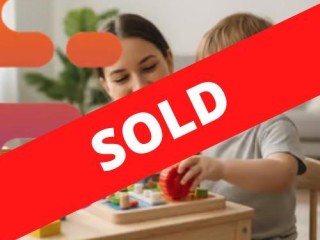 SOLD - Online Toy Business Ready to Scale