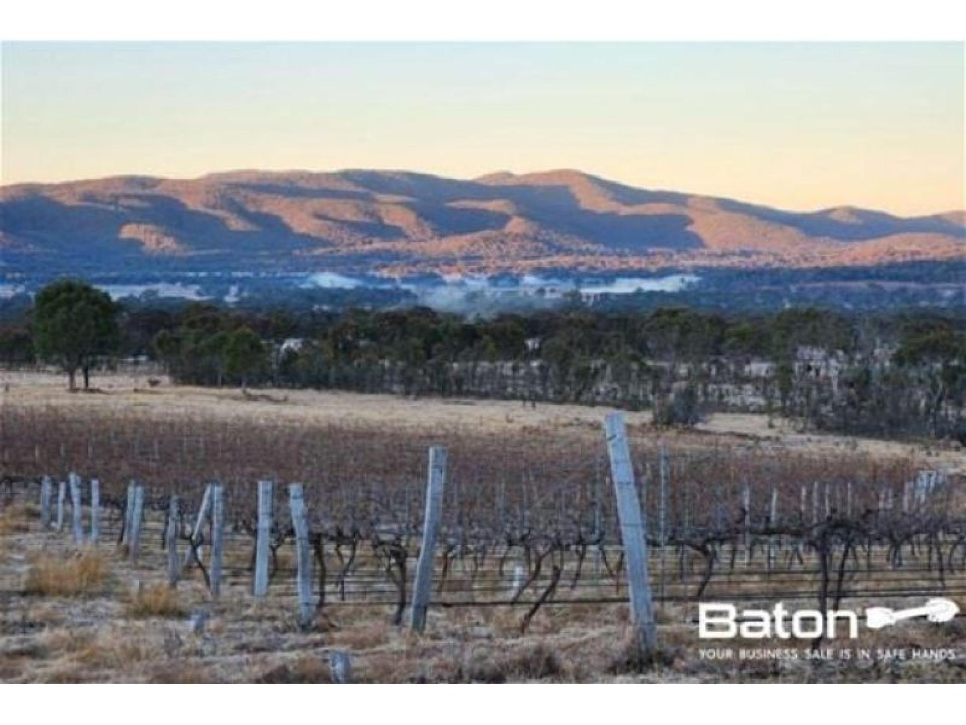 Ballandean Estate - Qld's 674358 2