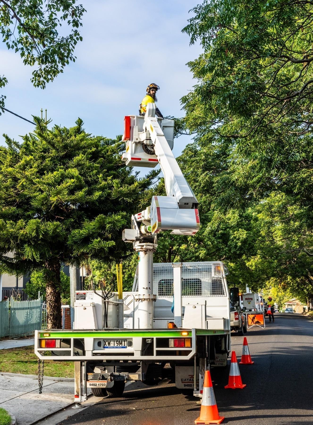 Vegetation Maintenance Municipal Contractor 684213 3