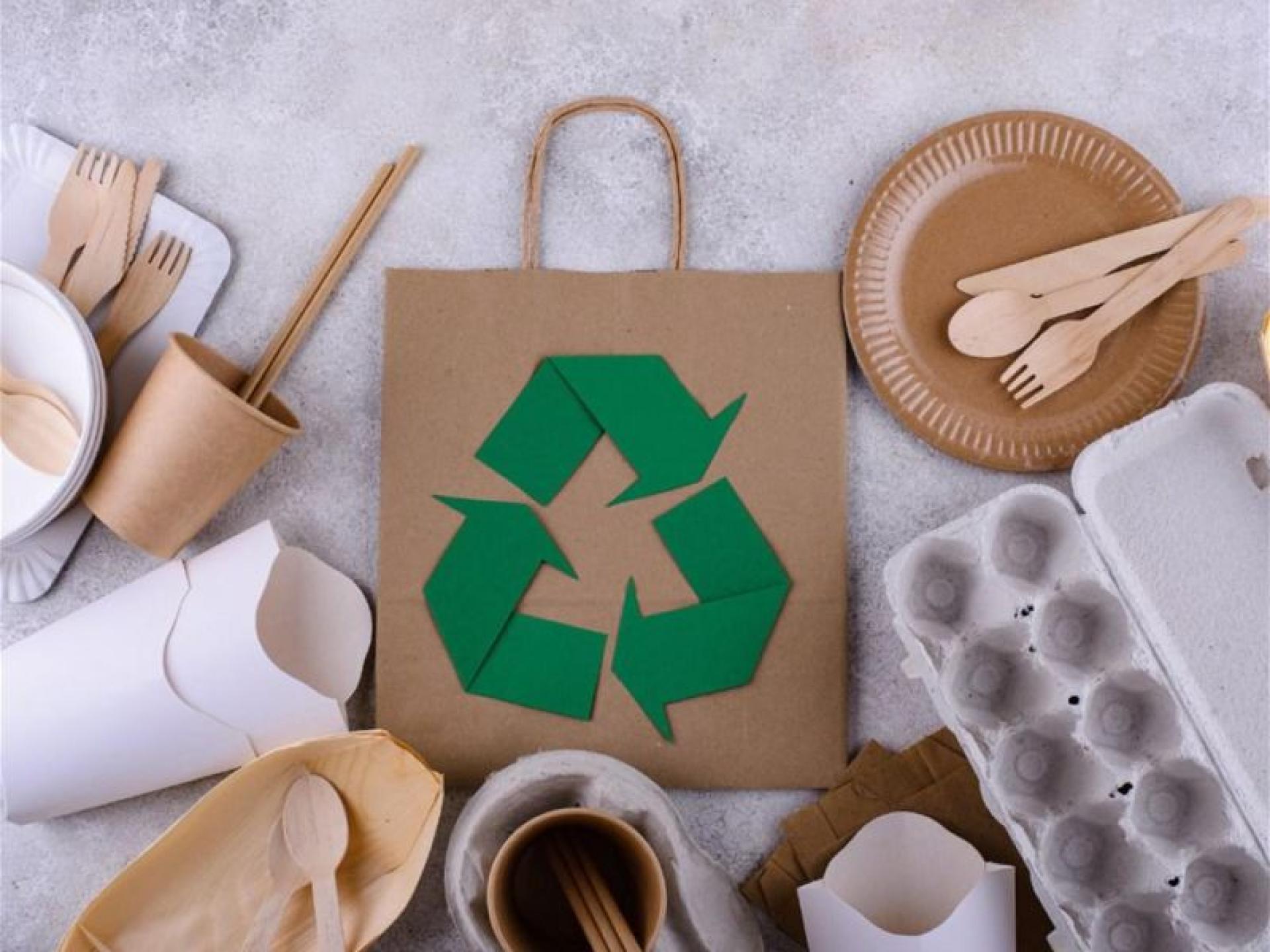 Retail/wholesale Food Packaging Business 665908 1