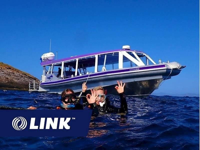 Premium Dive Tourism Business 678595 1