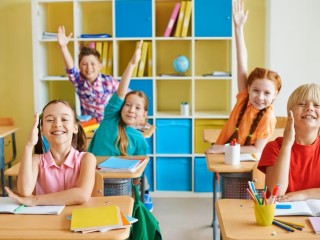 Unique, Import, Wholesale/Distribution and Online School Products Business #424