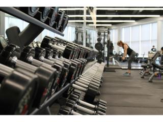 Two 24/7 Gyms, North Sydney & Seven Hills, $245,000 WIWO | ID: 1453