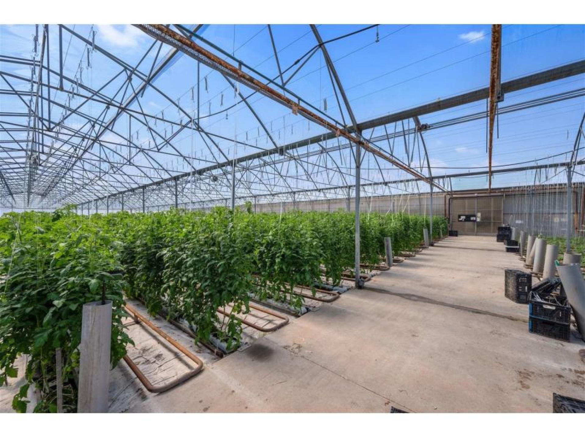 Hydroponic Vegetable Crop Farm 678472 3