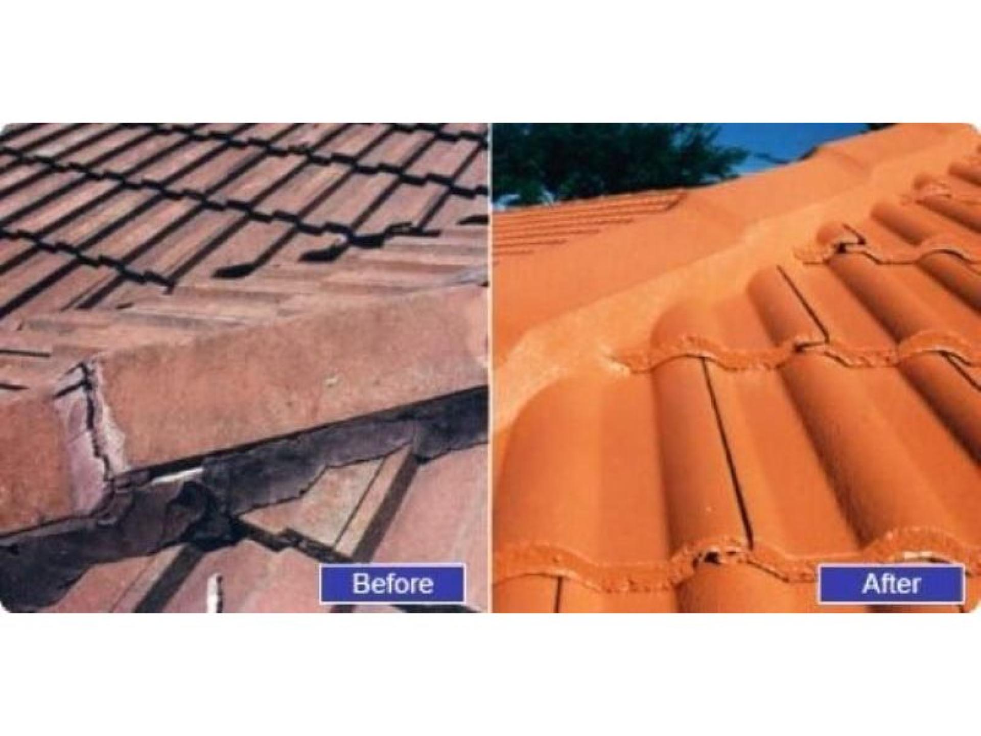 Roof Restoration- Expanding Franchise 677353 1