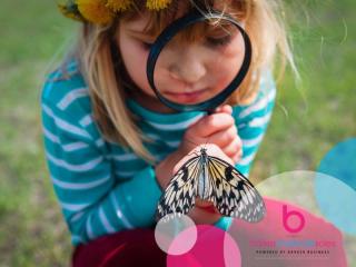 A Profitable Centre That Actually Stands Out – Northland