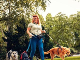 Coming Soon - Lifestyle Dog Walking Business