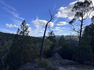 WYBERBA VIA STANTHORPE - 30 ACRE 'GIRRAWEEN NATIONAL PARK' STYLE GETAWAY