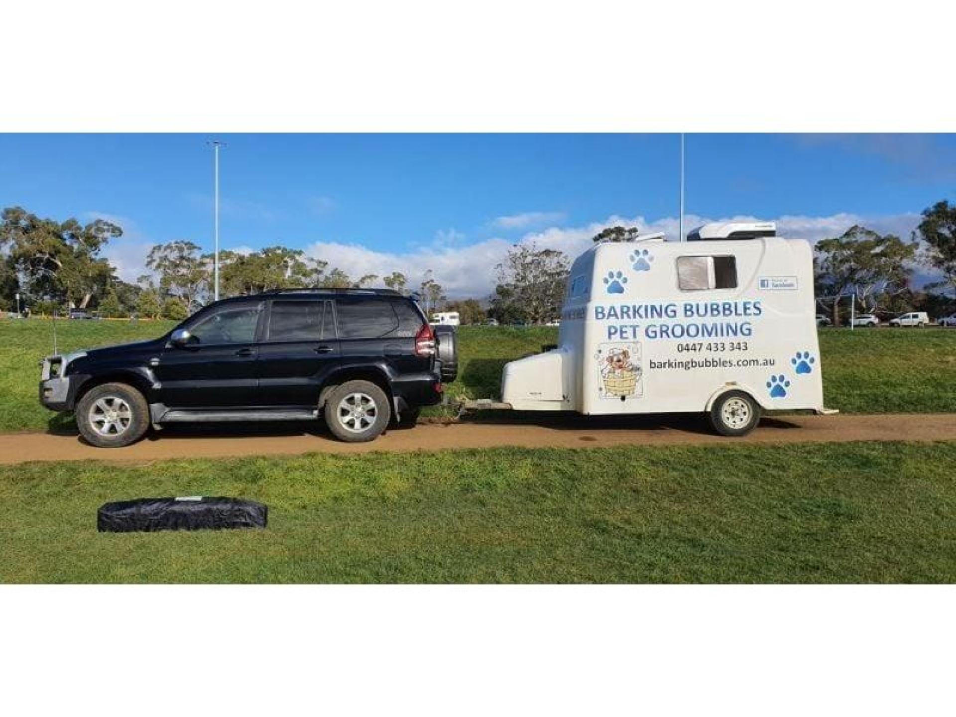 Profitable Mobile Pet Grooming 678981 1