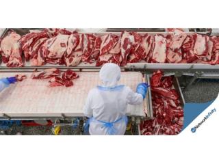 Sydney Meat Wholesalers 36 years Established $ 12 mil T/0 Per Year High Profits