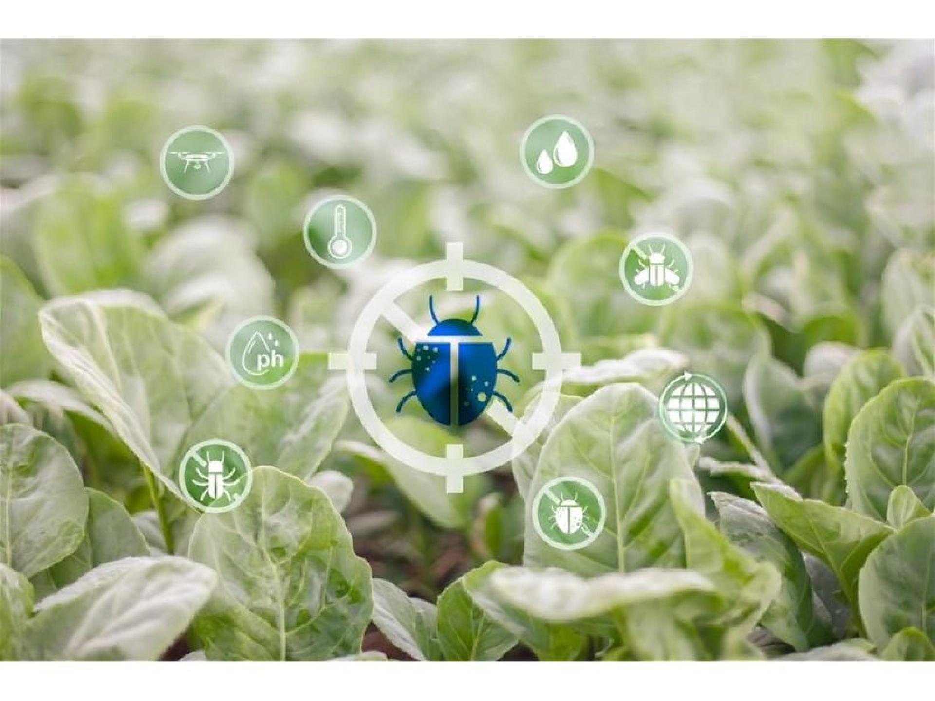 Chemical Free Pest Control 686334 1