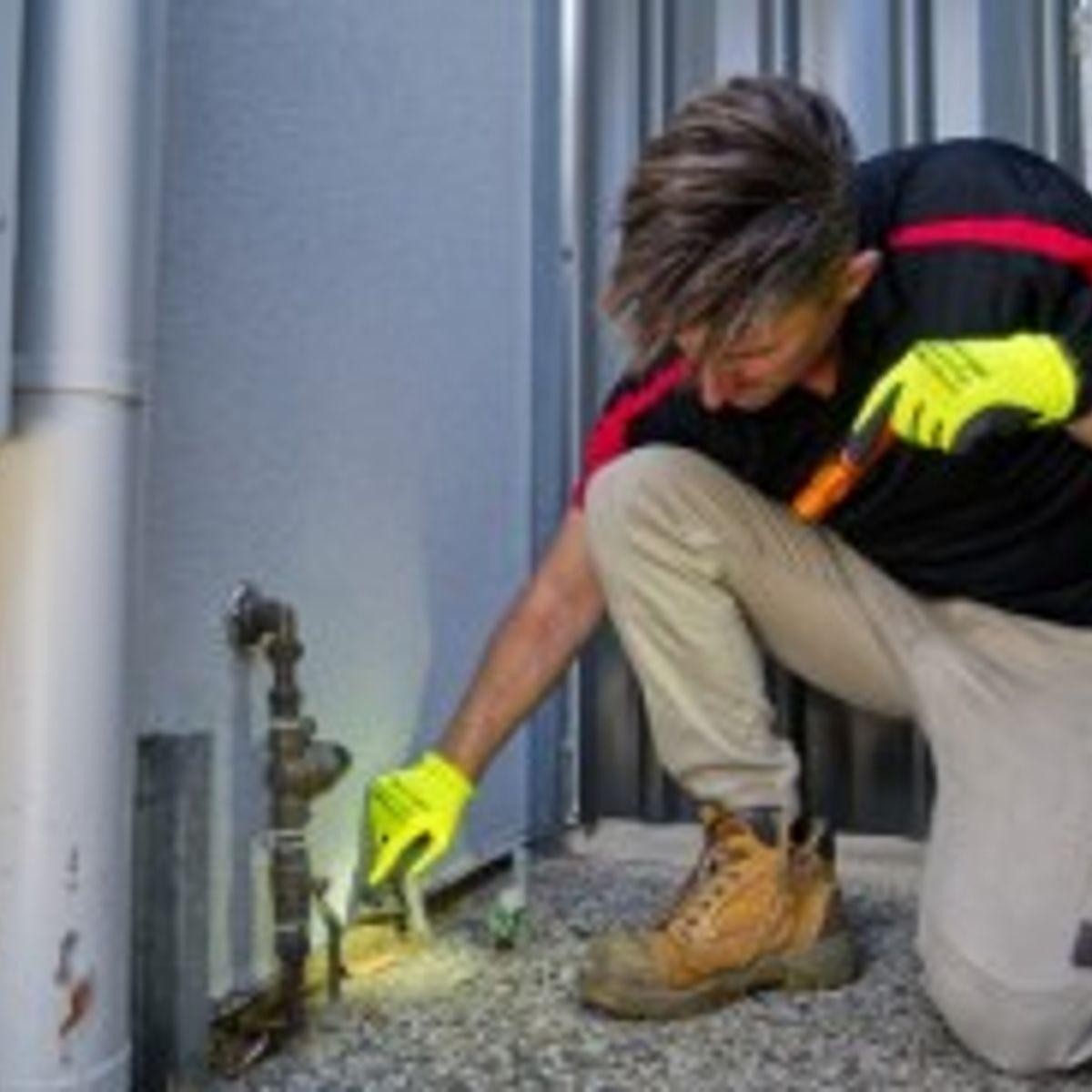 Pest Control Is Very 682637 2