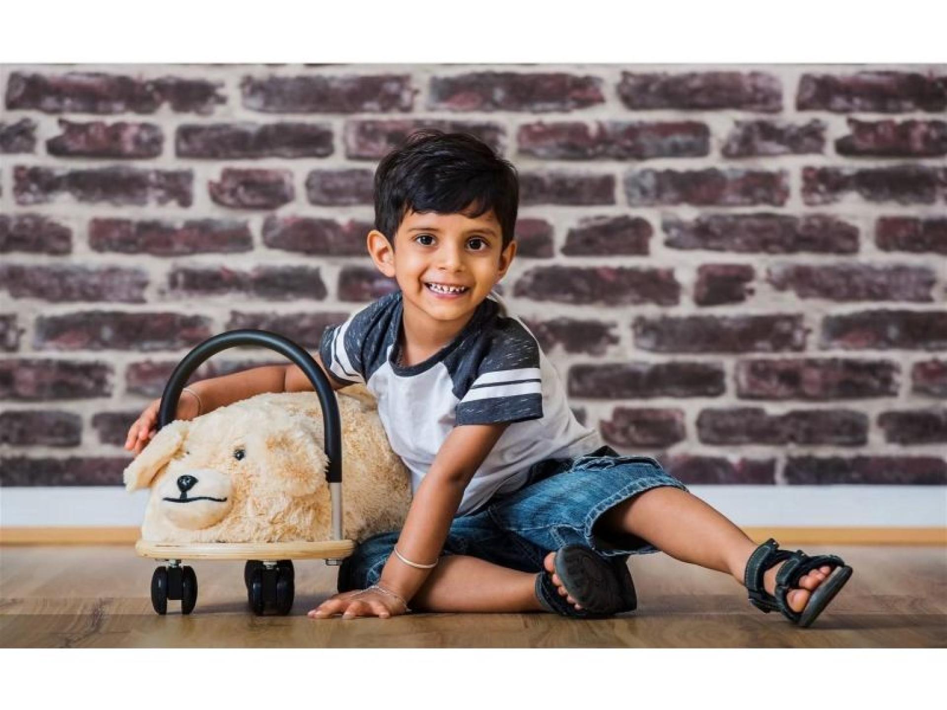 Wheely Bug Toys - 674772 3