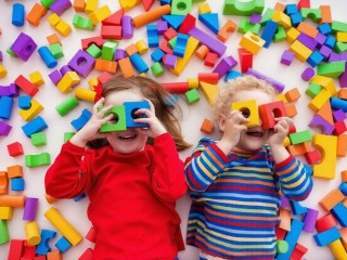 Large National Toy Product Importer, Wholesaler/Distributor #381