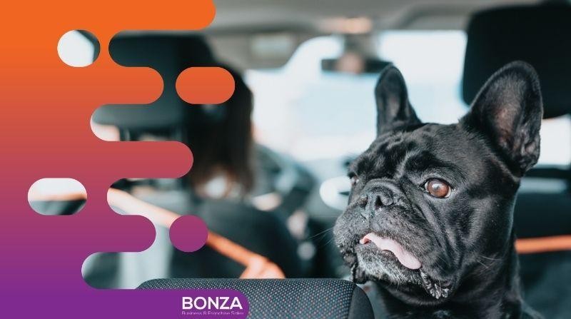 36452 Profitable Online Business 675042 2