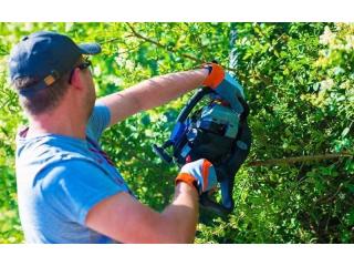 Profitable Outdoor Power Equipment Dealership