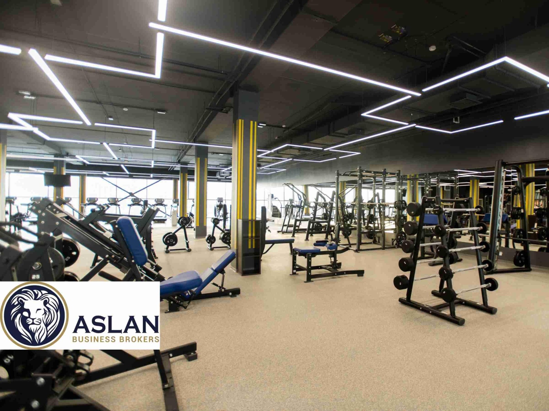 Fully Managed Gym Business 679751 1