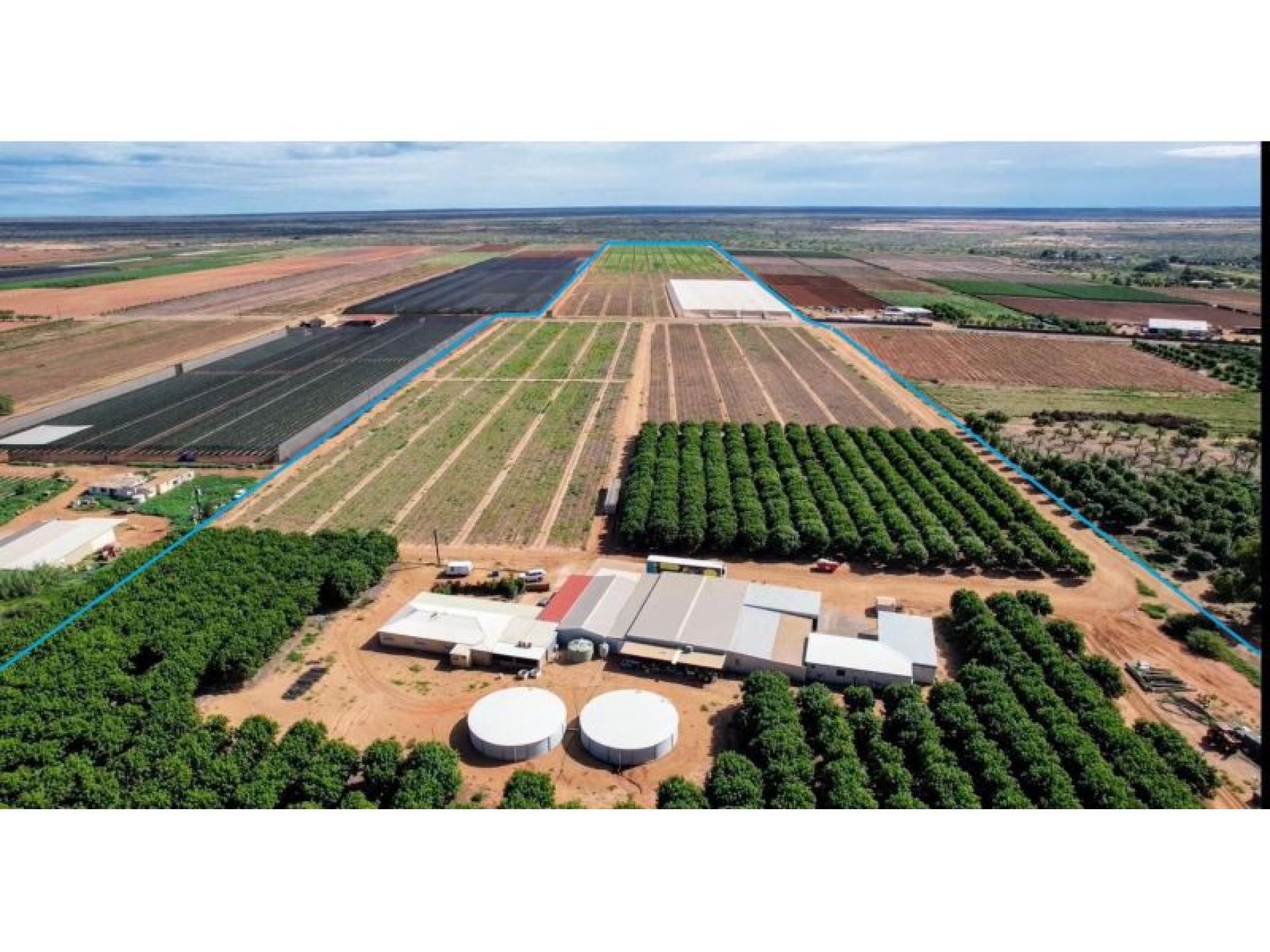 Horticulture Business & 58 680719 2