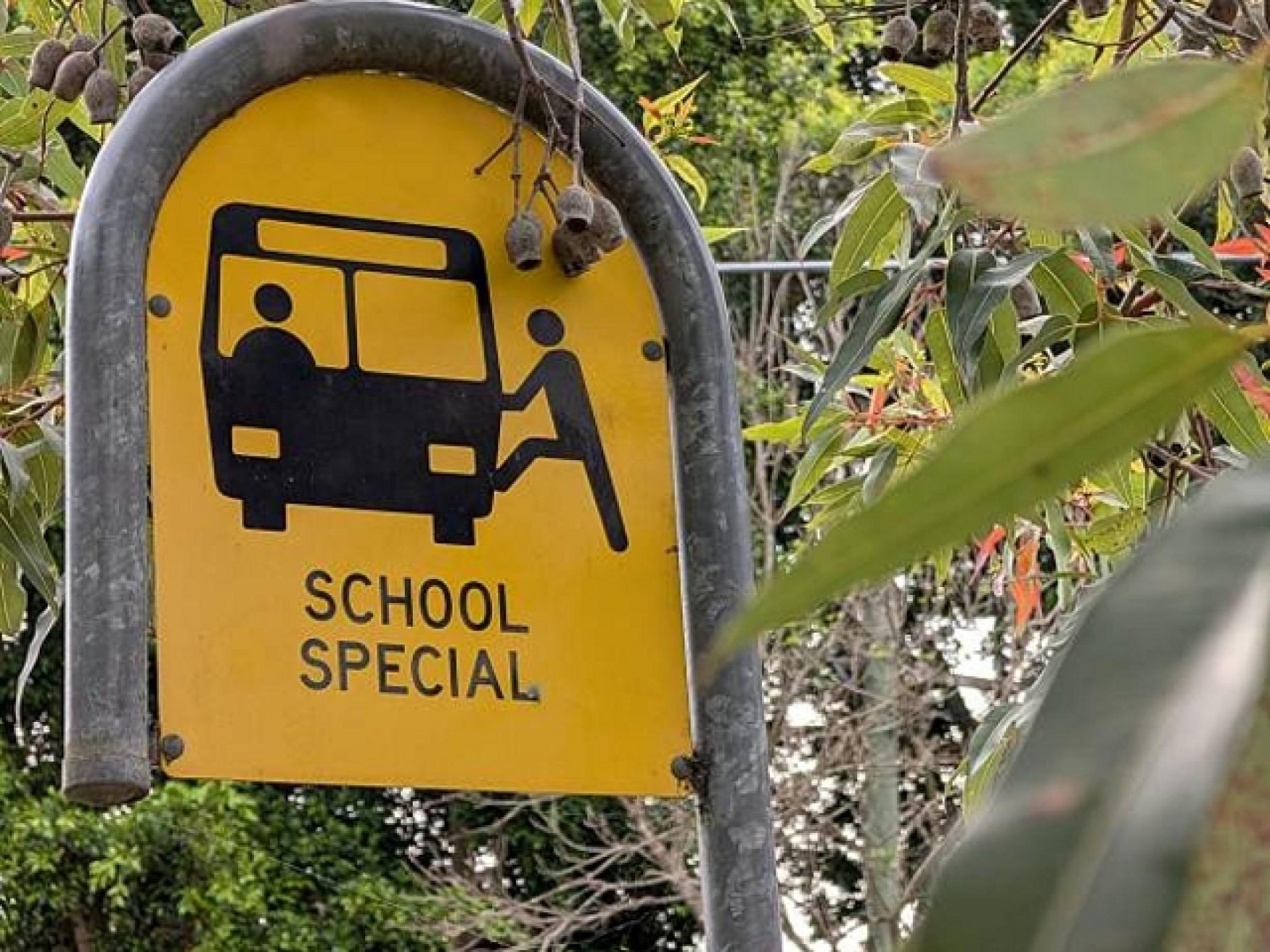 School Bus Service – 682529 3