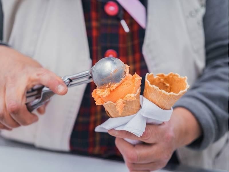 Boutique Gelato Franchise Prime 678947 3