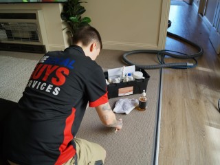 The Local Guys Carpet Cleaning - Turnover Guarantee of $2000  per week!