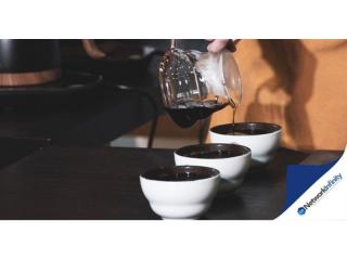 Lower North Shore Cafe for Sale  No Competition 10 Year Lease