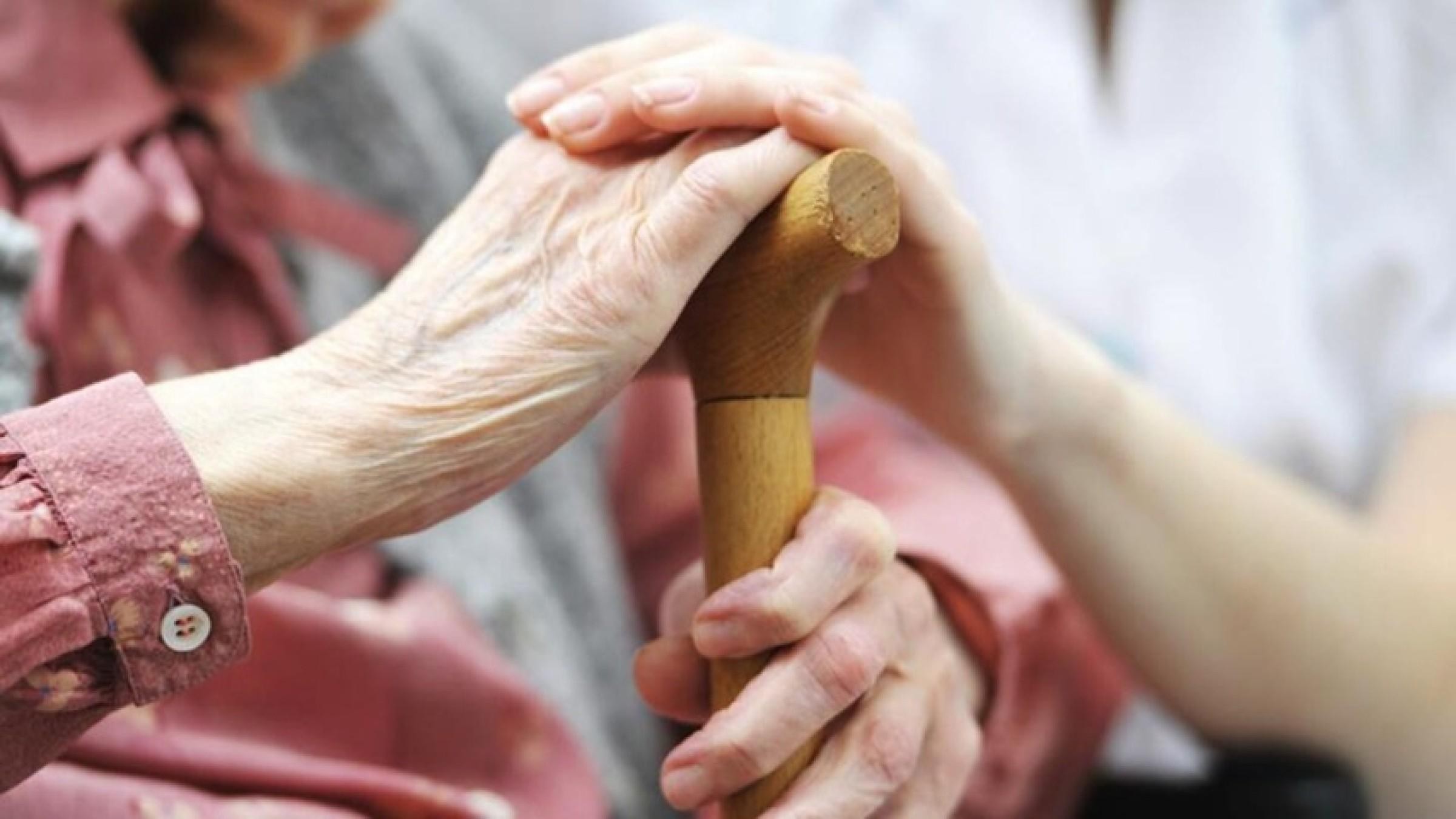 Well Established Ndis/disability Registered 683566 1