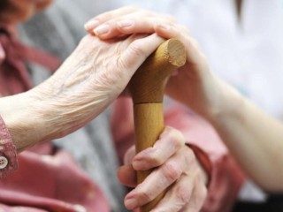 Well Established NDIS/Disability Registered and In Home Care Services Business #386