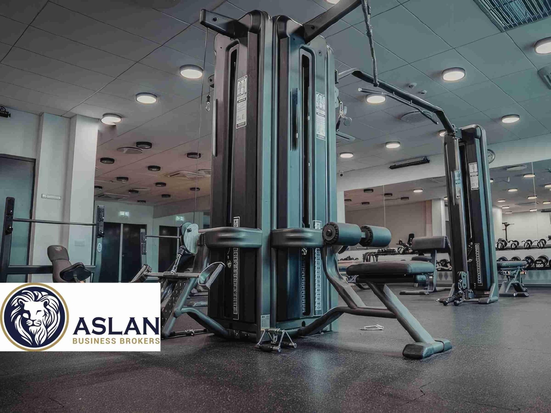 Gym Business For Sale 679063 1