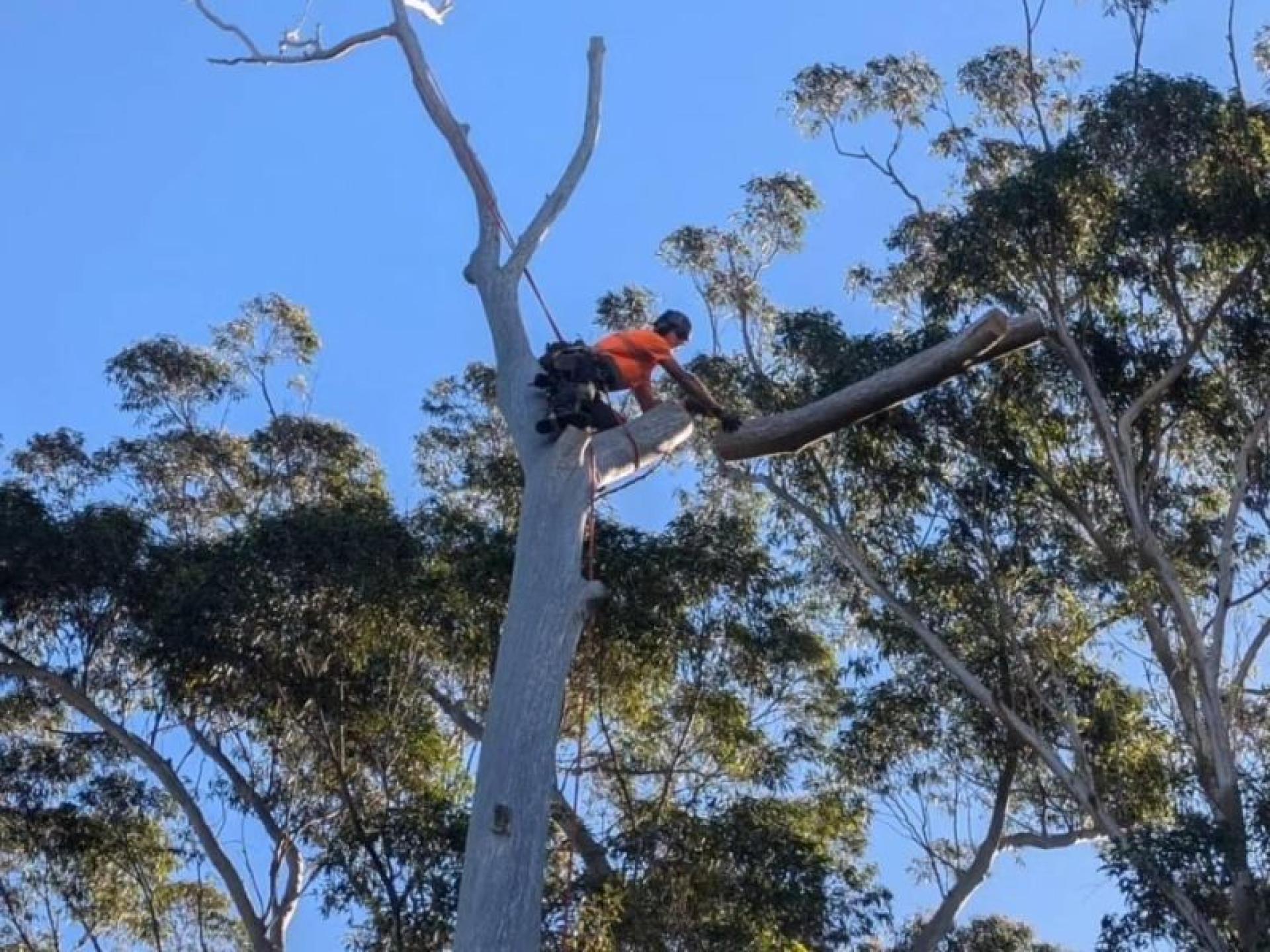 Under Offer - Highly 678491 1