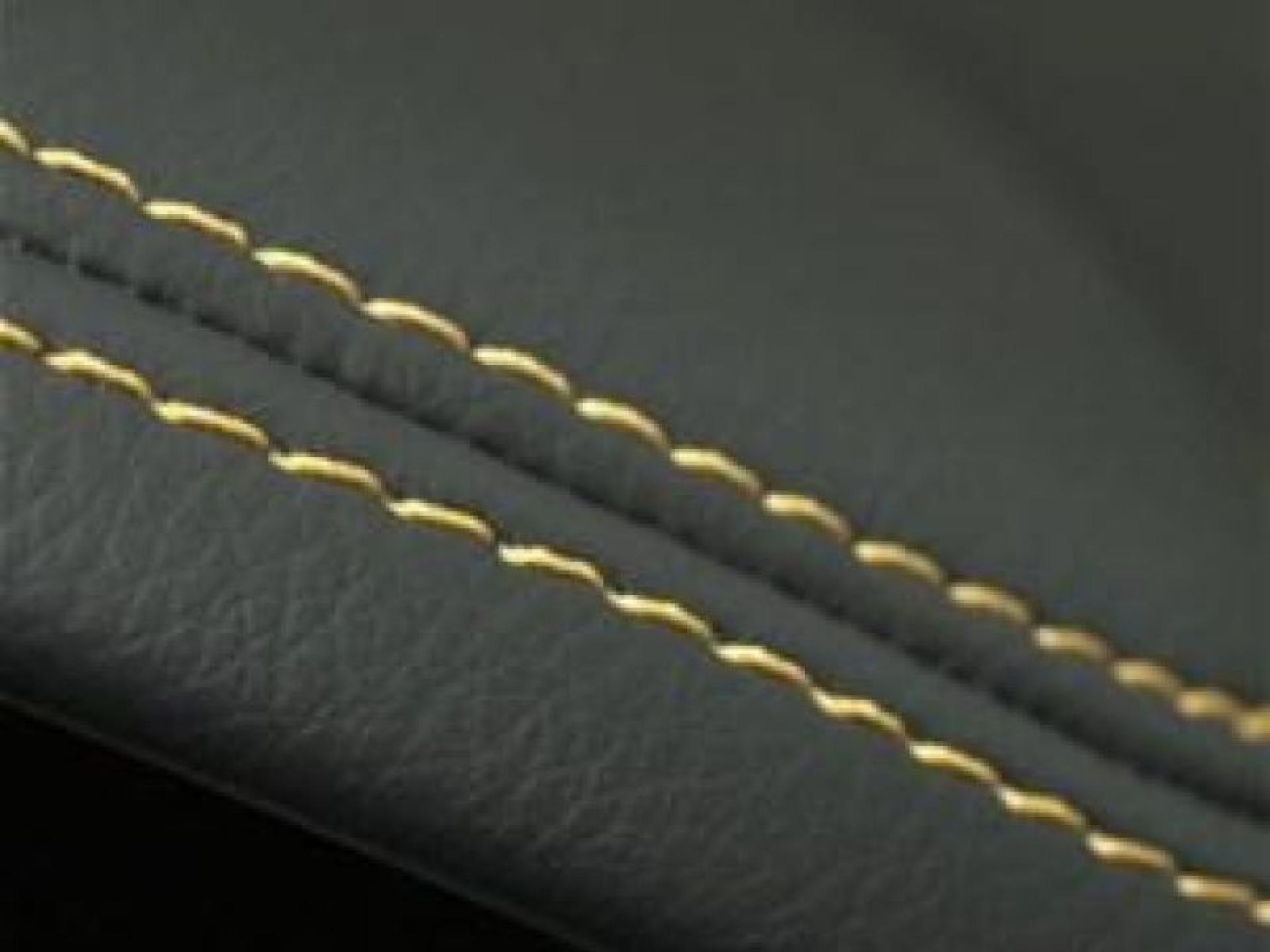 Leather Vinyl & Plastic 666462 2