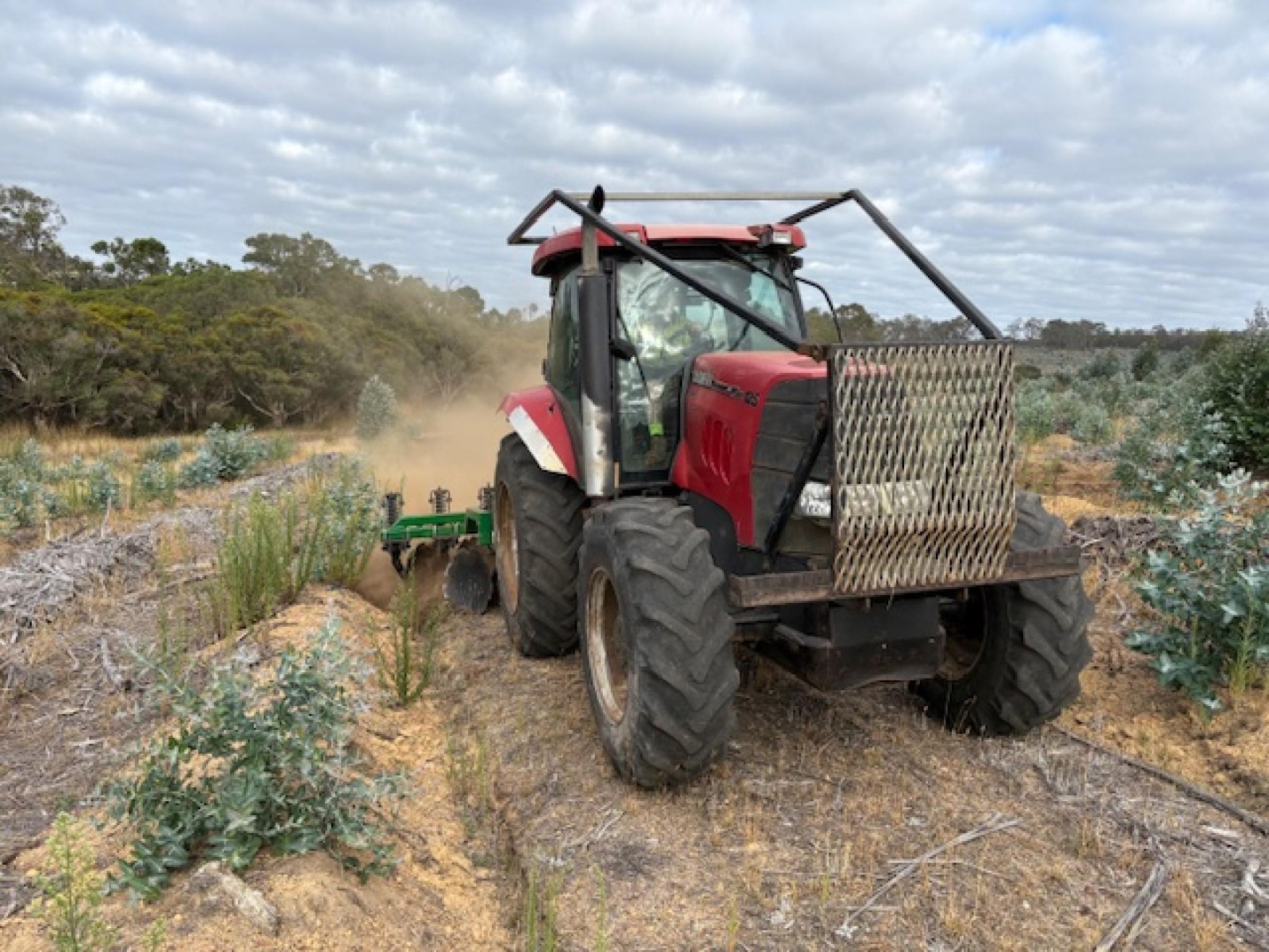 Established Plantation Contractor In 683245 1