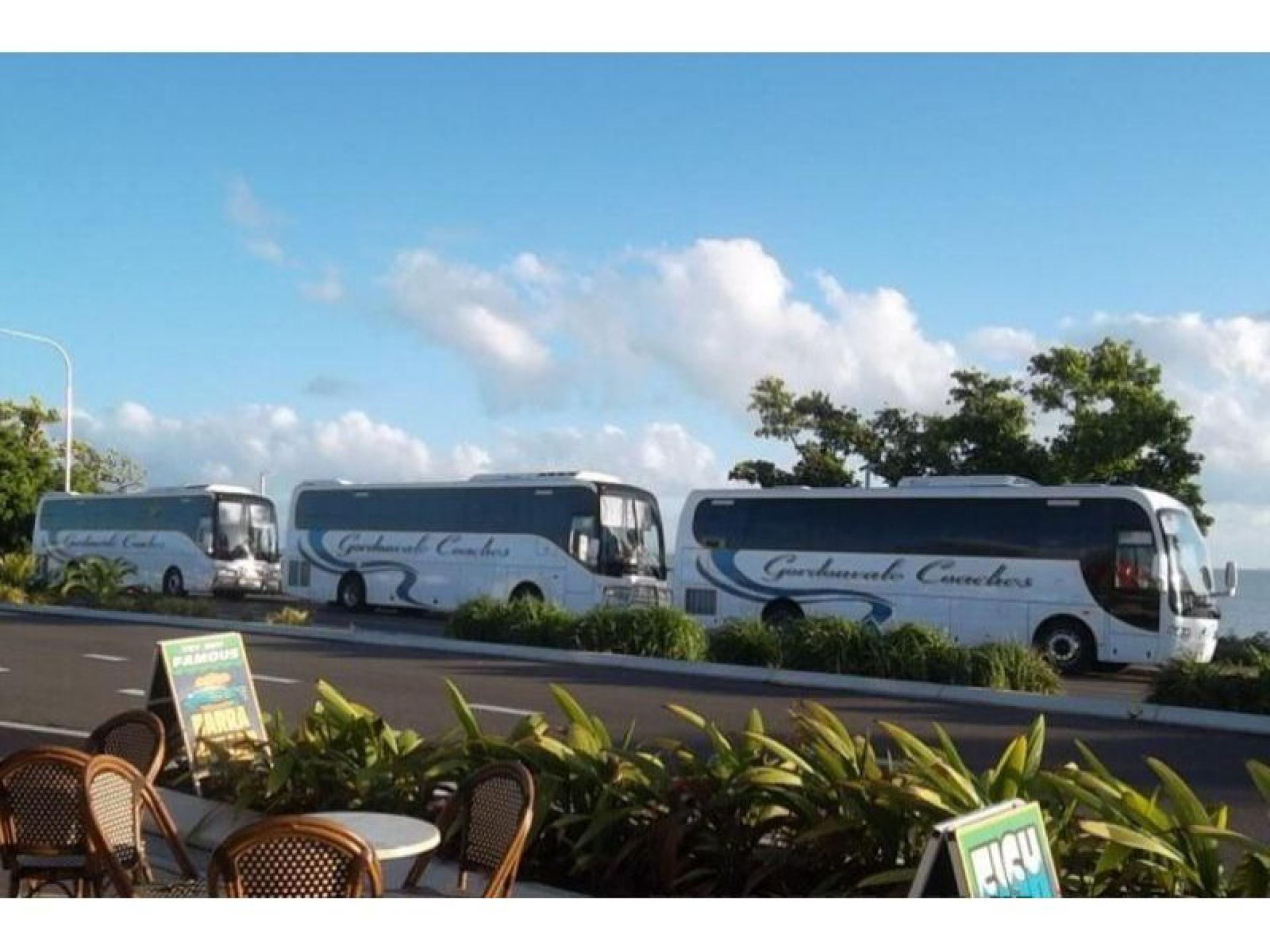 Established Bus Company With 684032 1