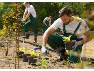 Premium Landscaping and Maintenance Business, Strong Growth!