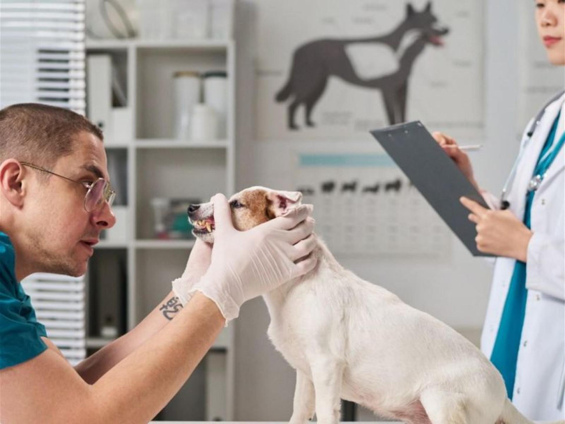 National Sales Agency Business 680174 2