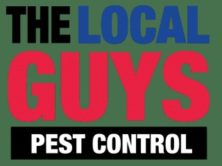 Pest Control is Very High Profit Margins + Low Costs = Great Profits!