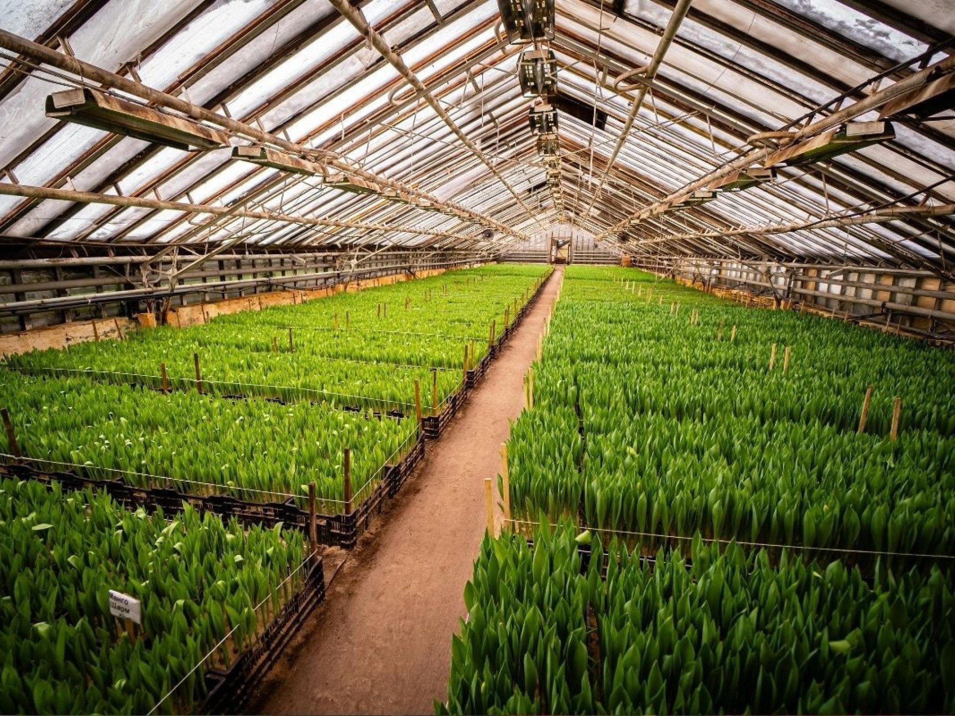 Quality Horticultural Business Vic 684879 2