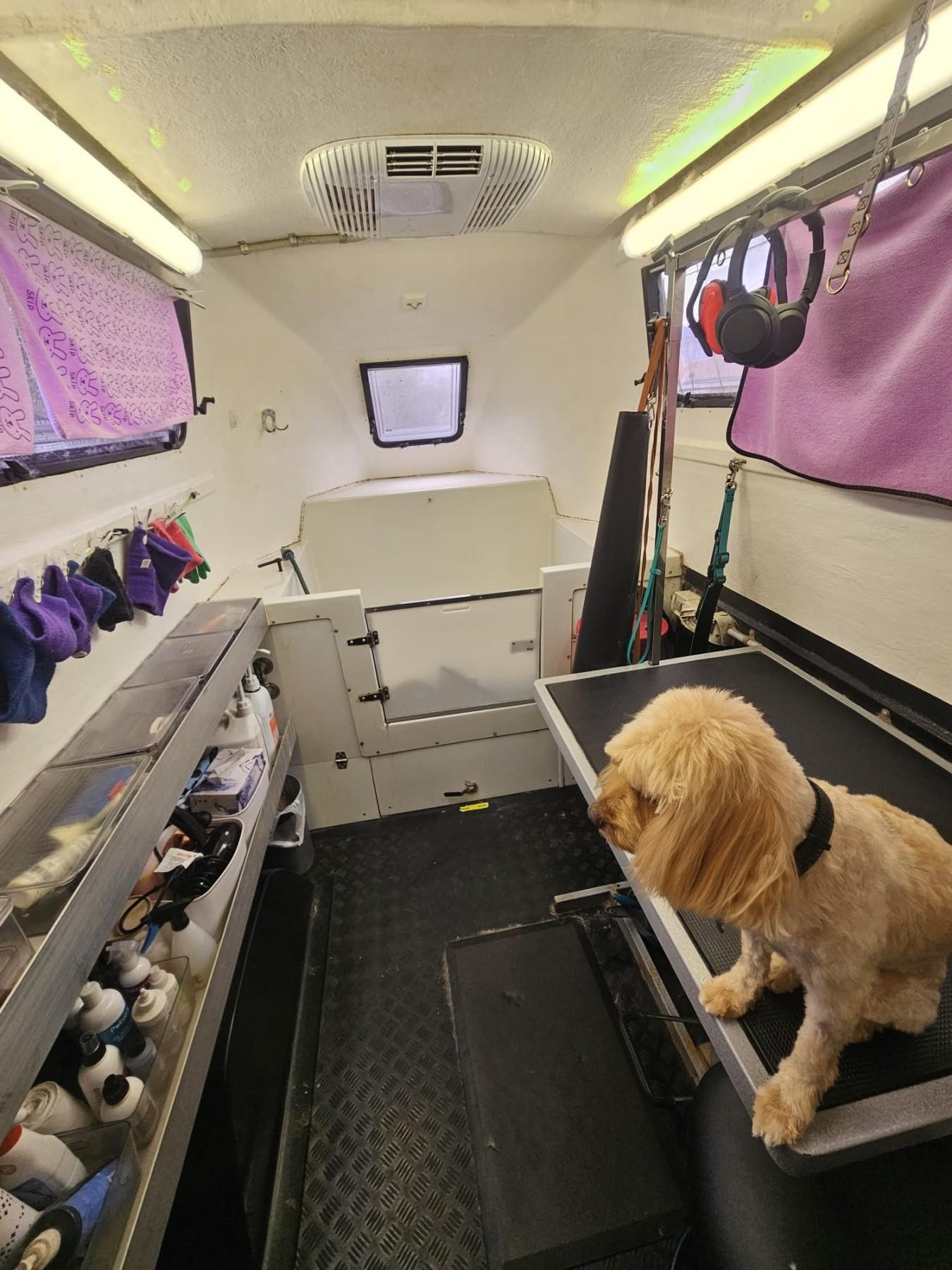 Jim's Dog Wash - 678108 2