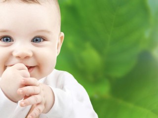 Group 3 Childcare Centres – 1 LDC & 2 OSHC for Sale – $995k