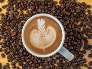 Espresso Bar East Brisbane - 5856-1