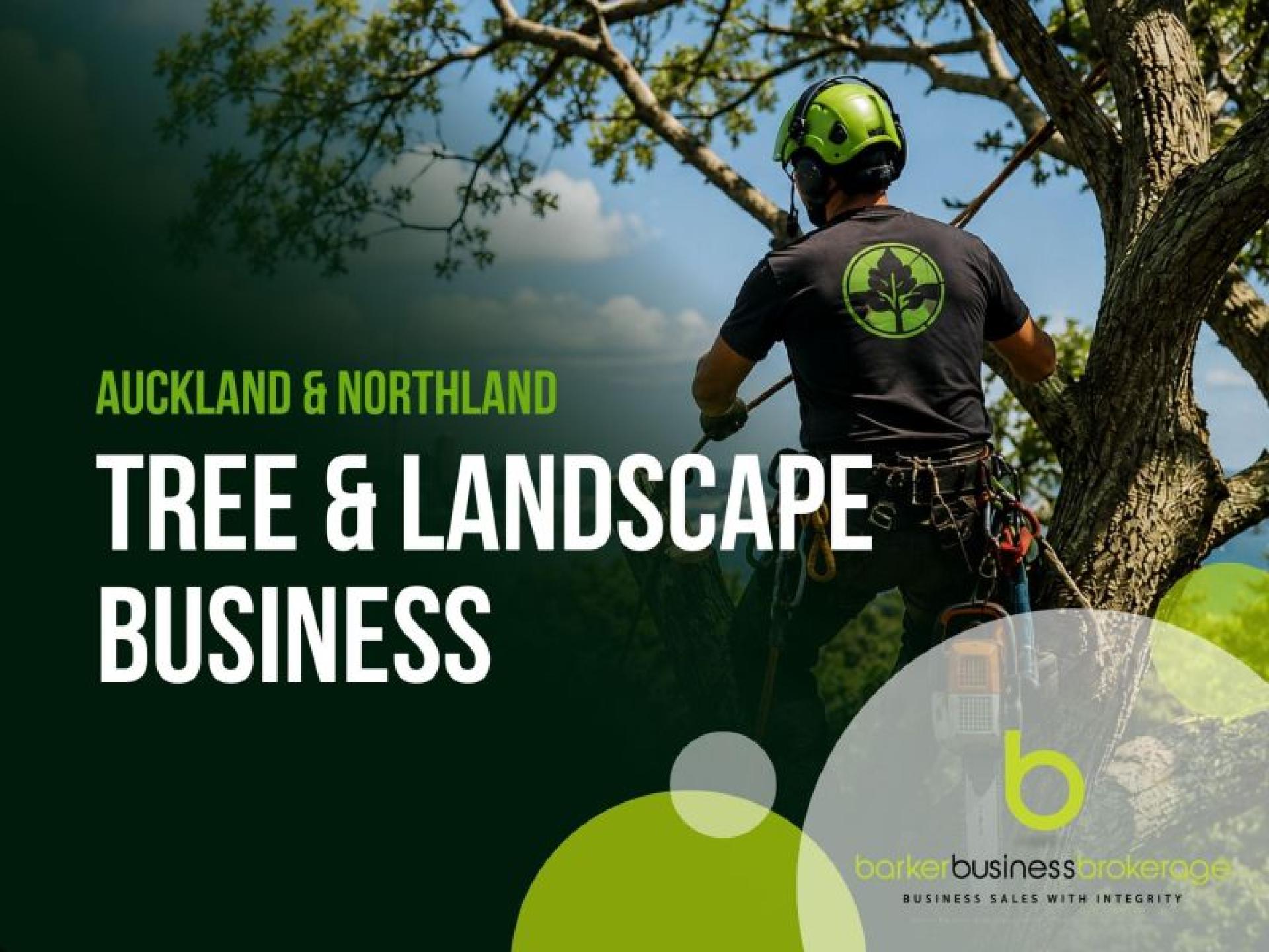 Auckland To Northland Tree 672340 1