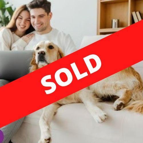 35477 Two Profitable Pet 662418 1