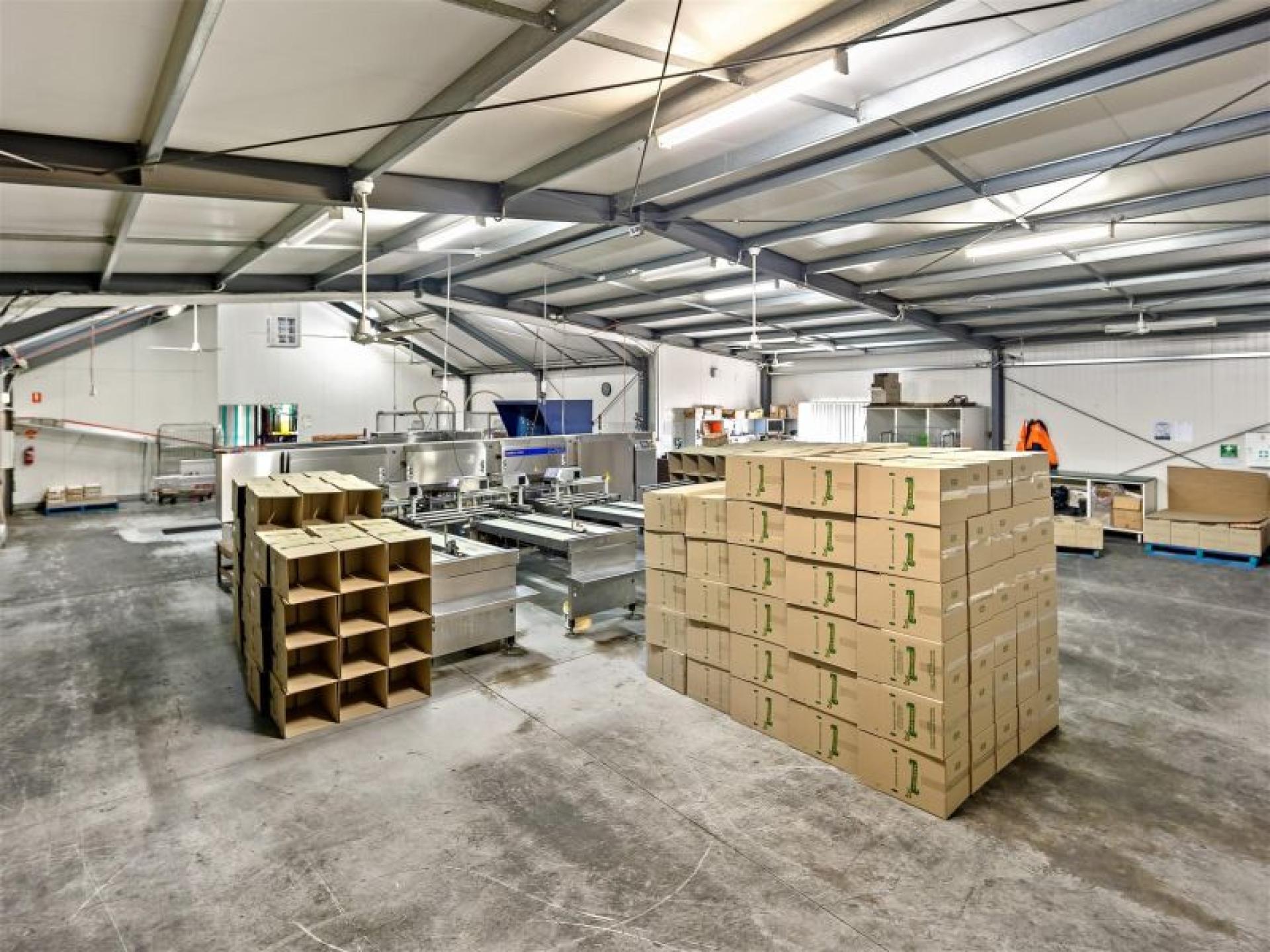 Egg Production Retail & 669717 3