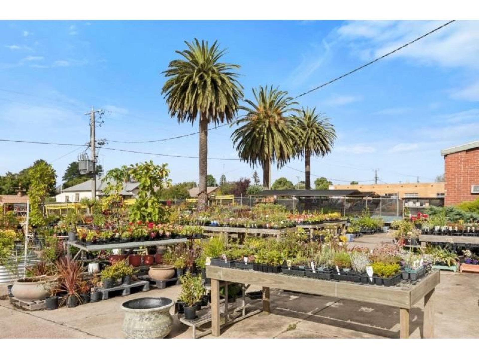 Multiflora Nursery - Colac 677852 1