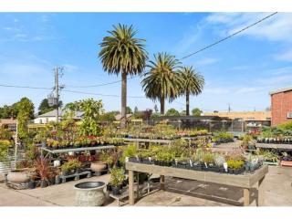 Multiflora Nursery - Colac (IWR2646)