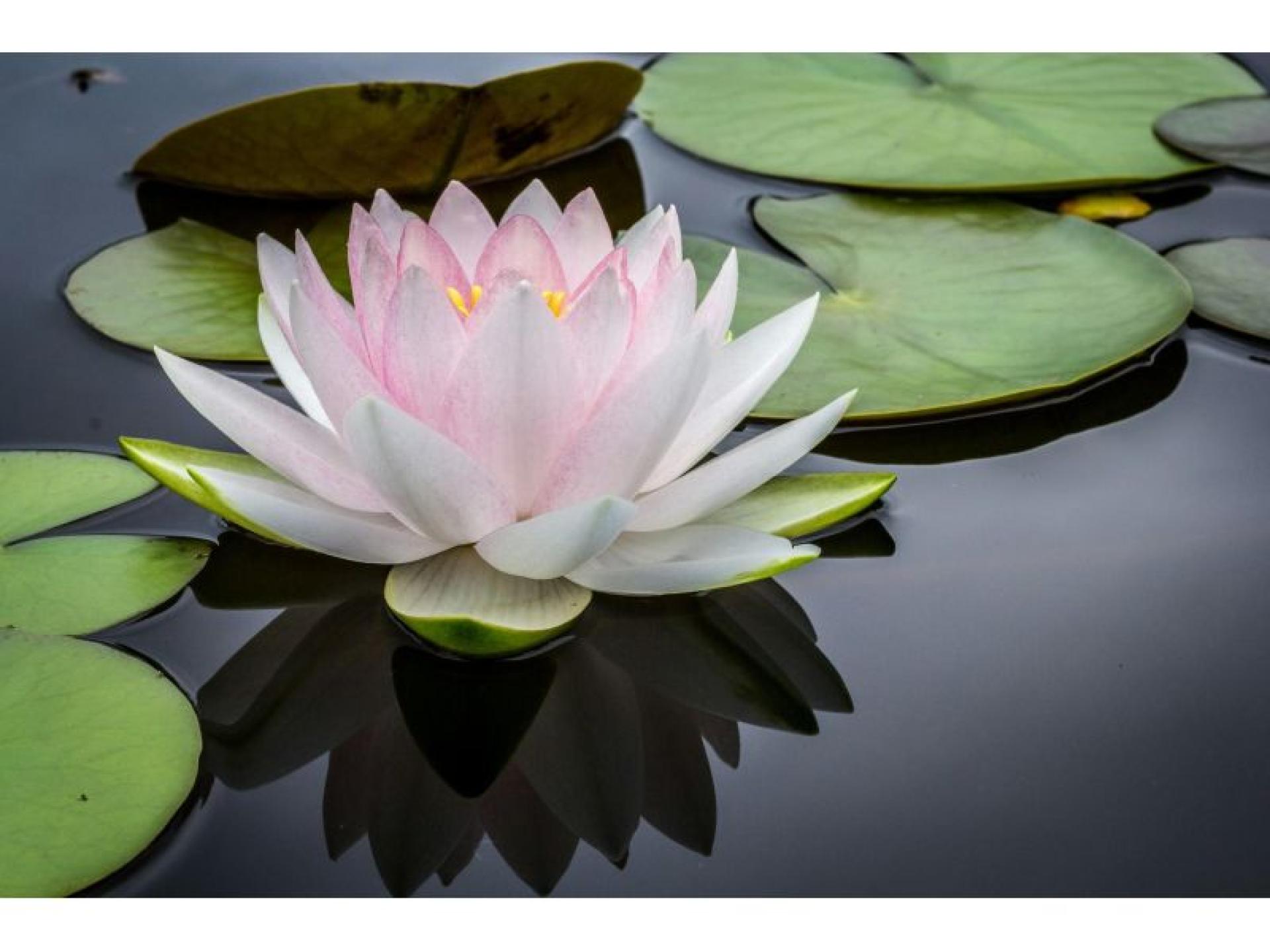 Skin & Beauty Clinic 674090 2