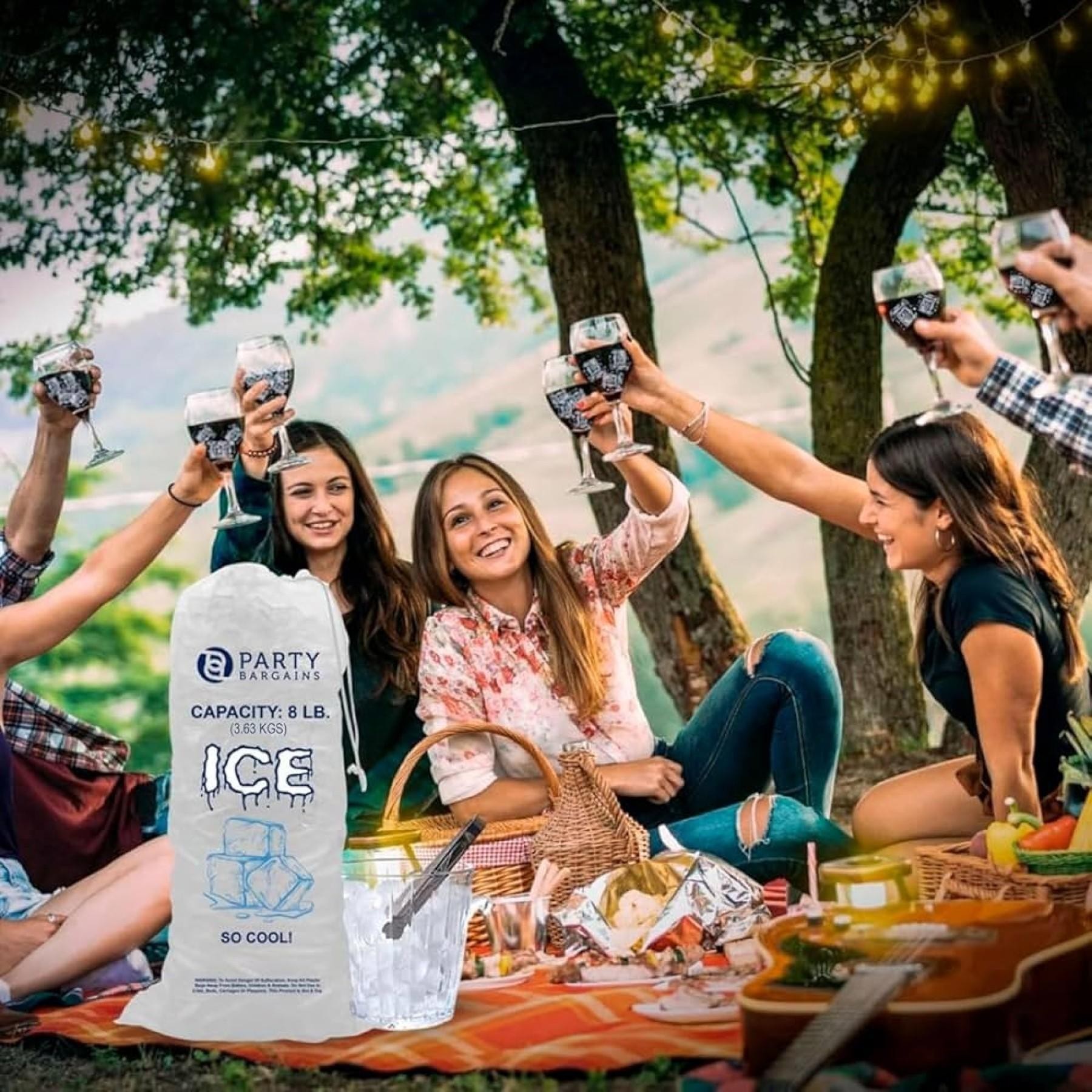 Ice Processing And Distribution 680965 1